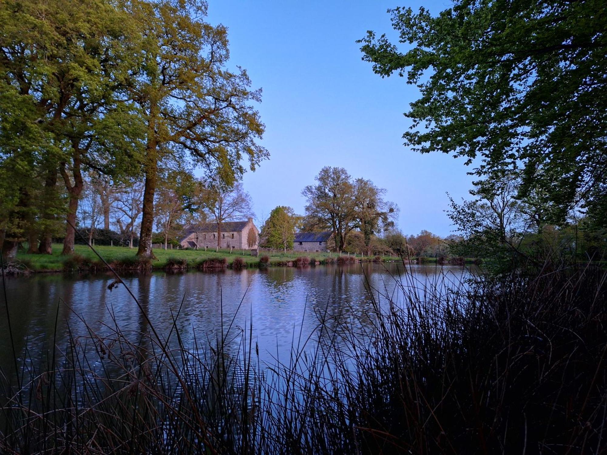 Domaine De Bobehec - Gite De Groupe, Chambres & Salle - 23 Personnes - Morbihan Proche Vannes Et Plages La Vraie-Croix Zewnętrze zdjęcie